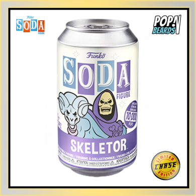 Vinyl Soda: Television (MOTU), Skeletor
